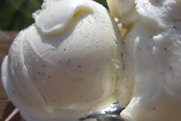 Vanilla Bean Ice Cream Recipe