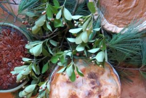 thanksgiving-pies
