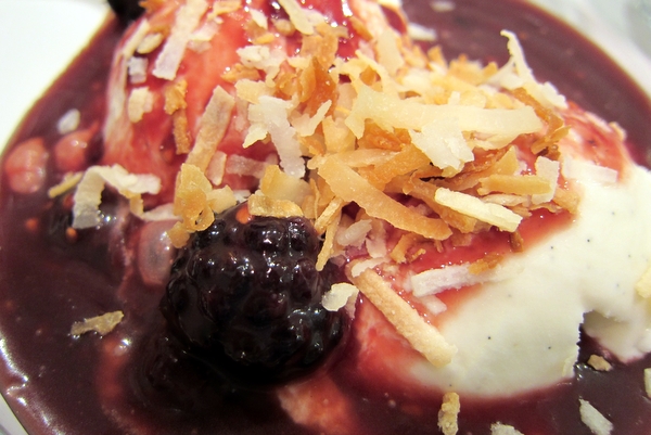 Blackberry Caramel Sauce with Vanilla Bean Ice Cream