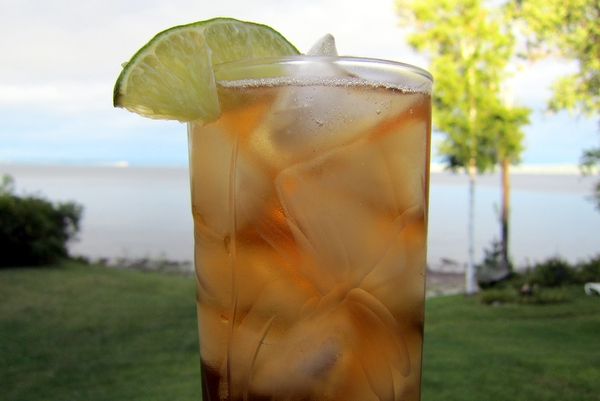 Dark Rum and Tonic