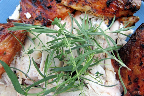 Sunset Chicken with Yogurt and Herbs