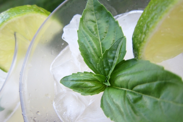 Basil-Lime-Margarita