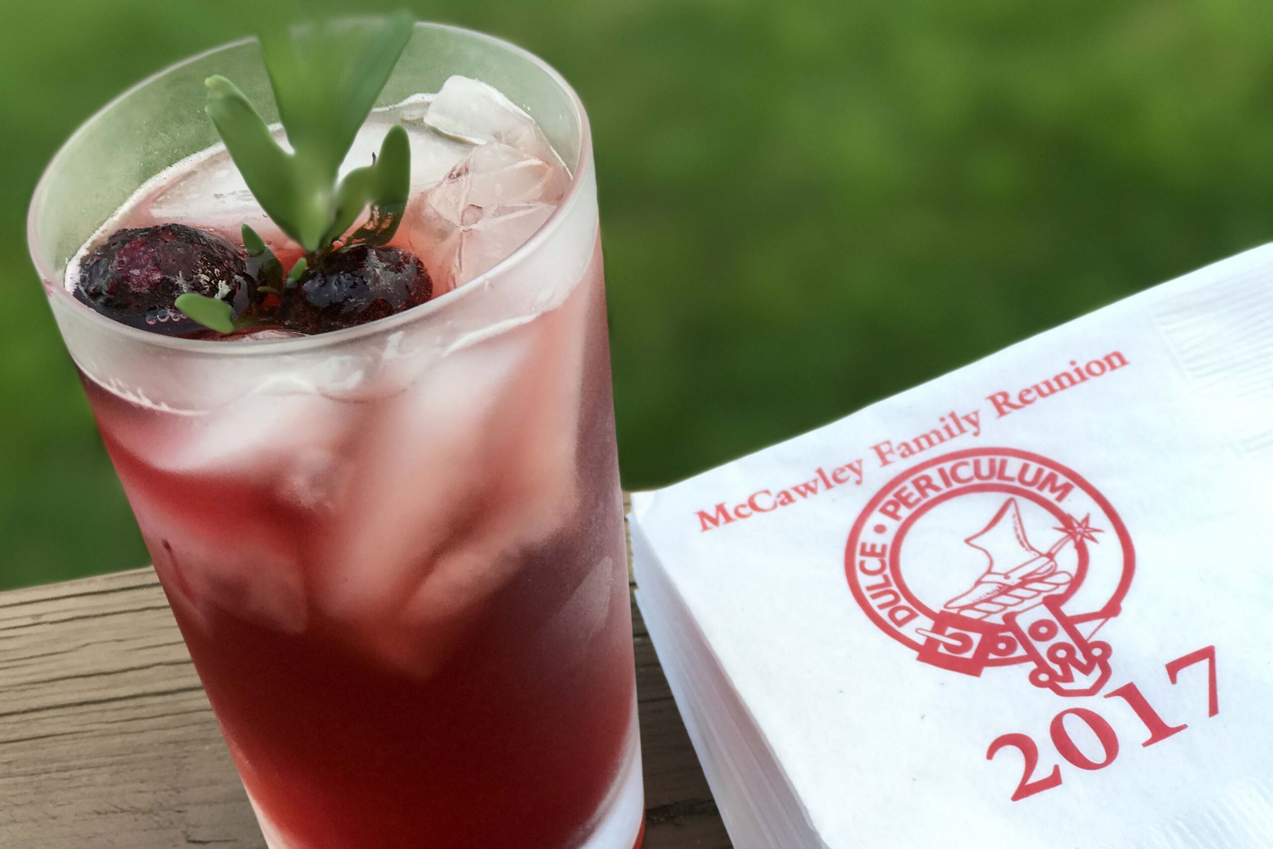 Blackberry-Rosemary Rum Cocktail