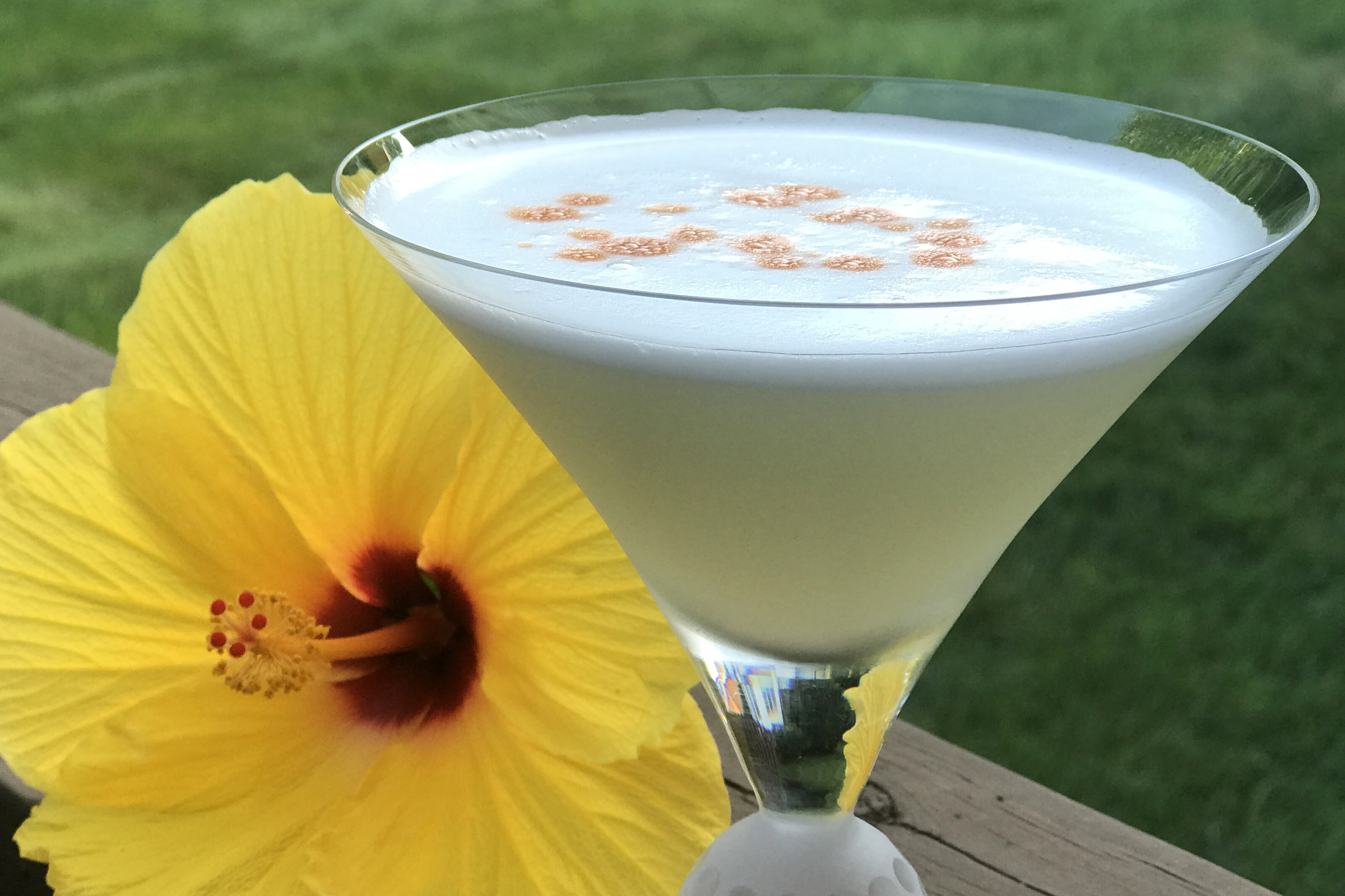 Pisco Sour