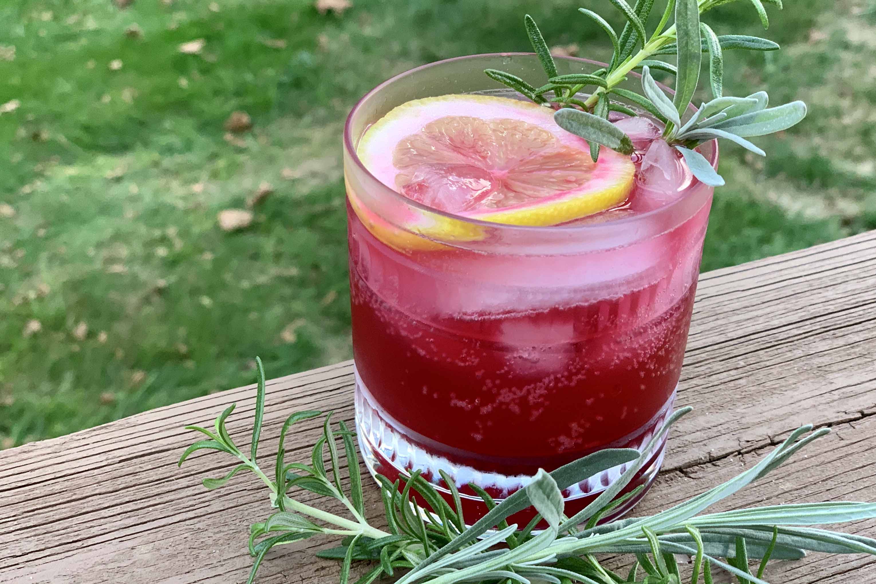 Elderberry Cocktail