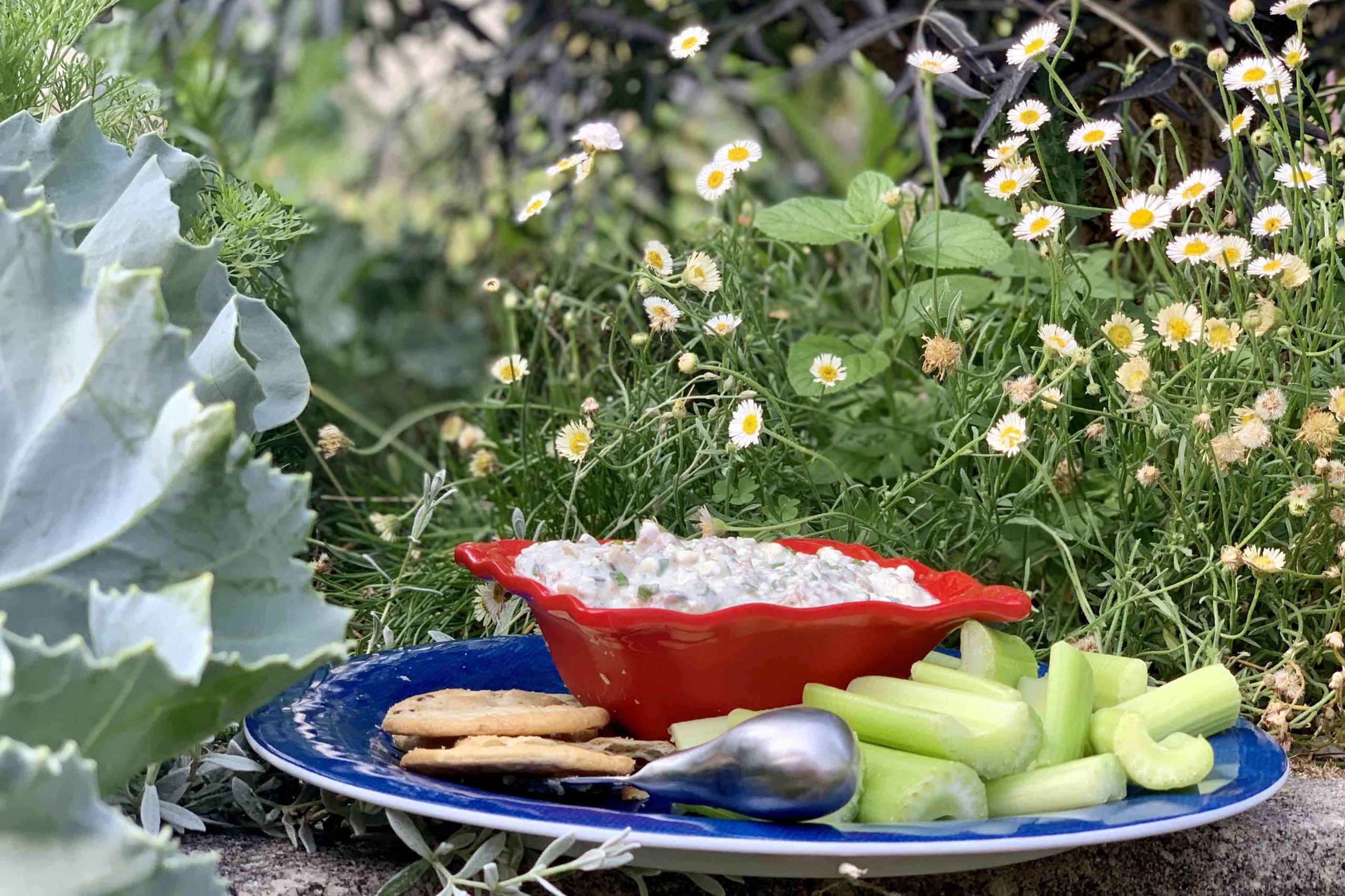 Blue Cheese and Walnut Dip