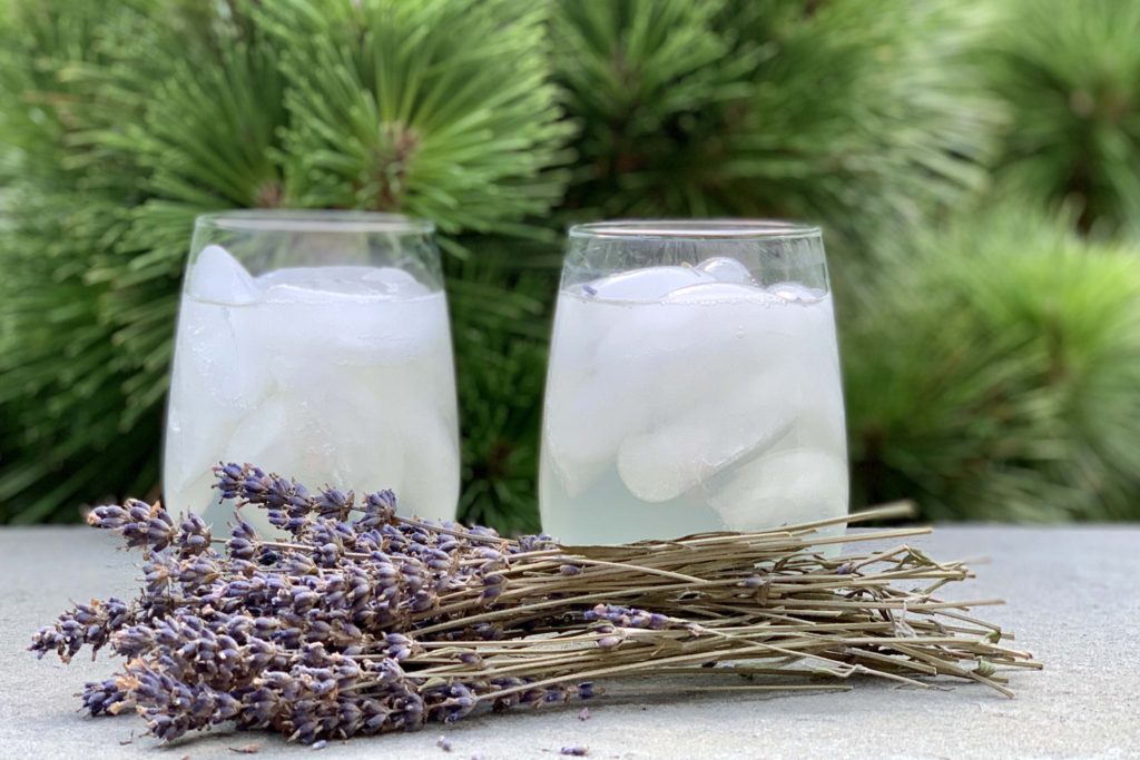 Lavender-Vodka Spritzer