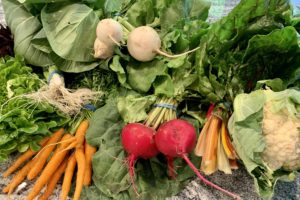 Bryn Clovis Farm Produce Box