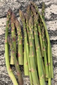 Local Asparagus