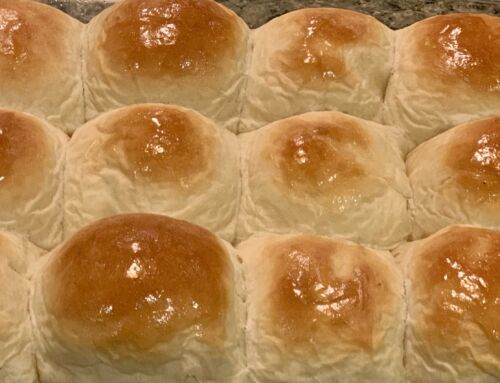 Carol’s Dinner Rolls