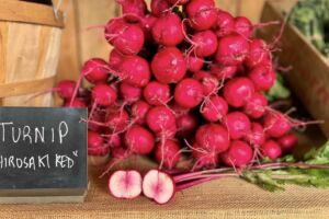 Red Turnips