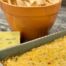 Lauren’s Mexicorn Dip